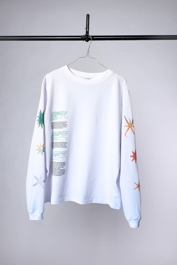 Waves on solid Ground