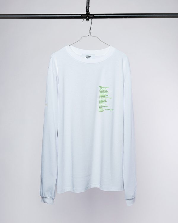 'Plates, Shells & Vibrations' 