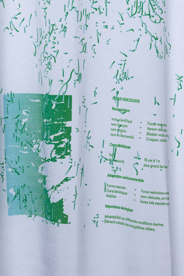 REMÆR Essentials The Algen