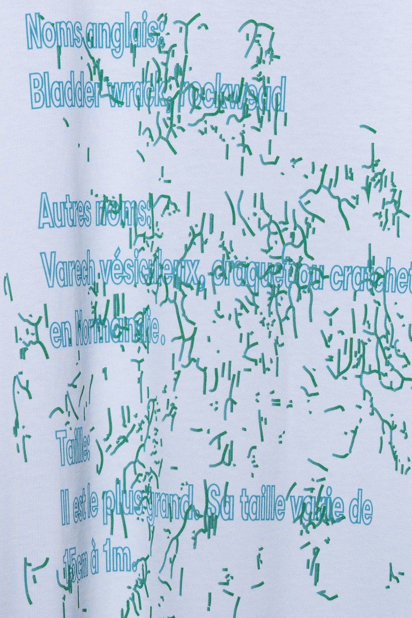 REMÆR Essentials The Algen