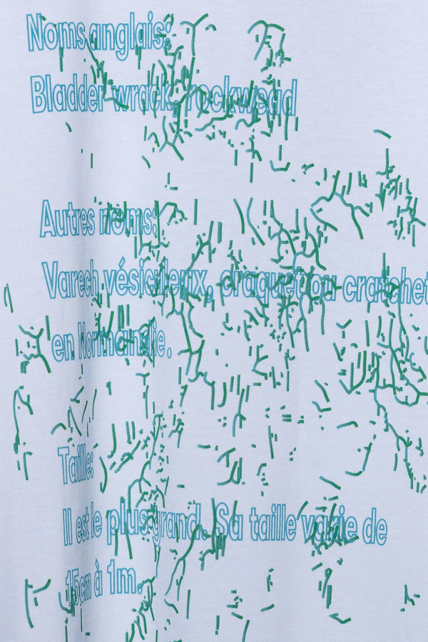 REMÆR Essentials The Algen