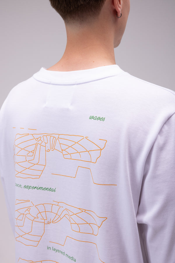 'Plates, Shells & Vibrations' 