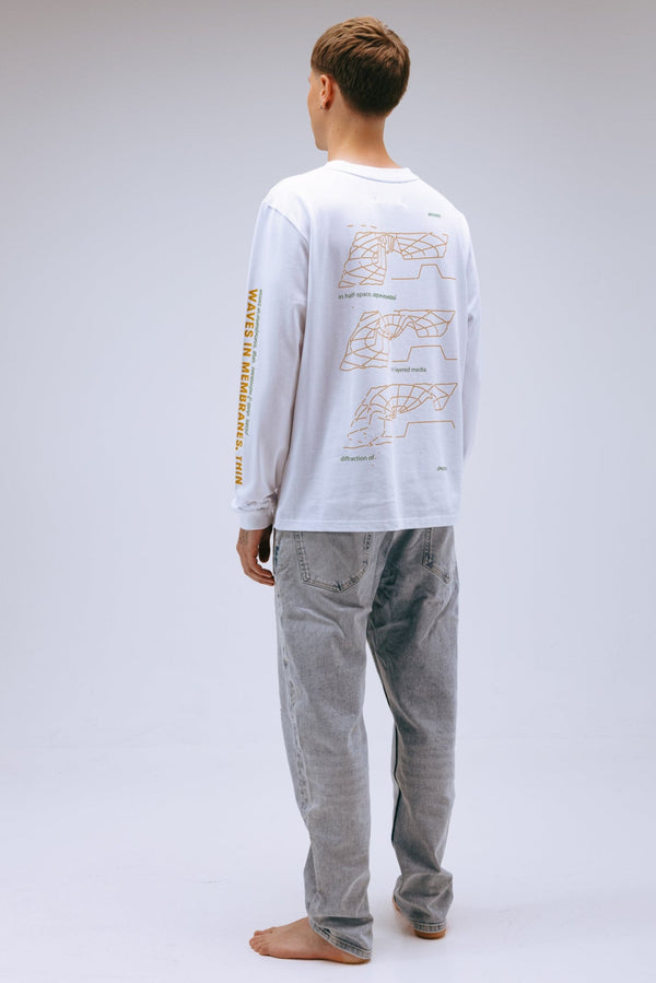 'Plates, Shells & Vibrations' 